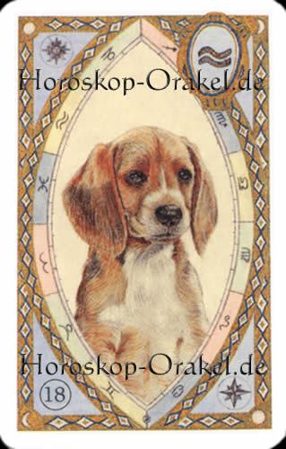 Der Hund, Fische Monatshoroskop