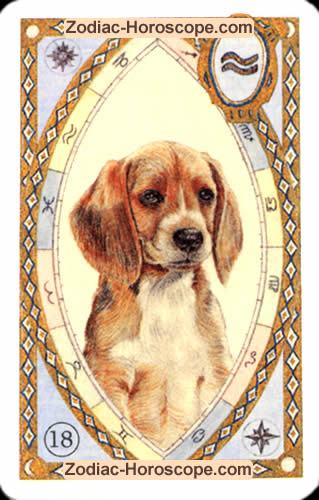 Astrologische Lenormandkarten der Hund