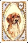 Der Hund, Horoskop mit Lenormand